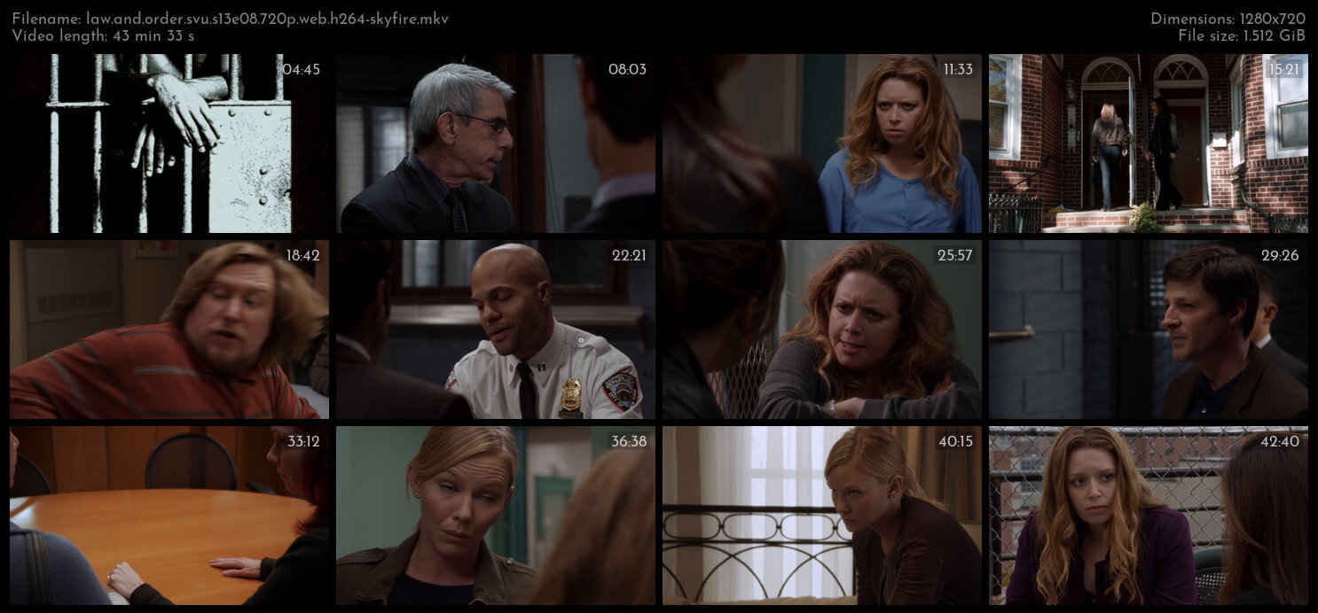 Law And Order SVU S13E08 720p WEB H264 SKYFiRE TGx