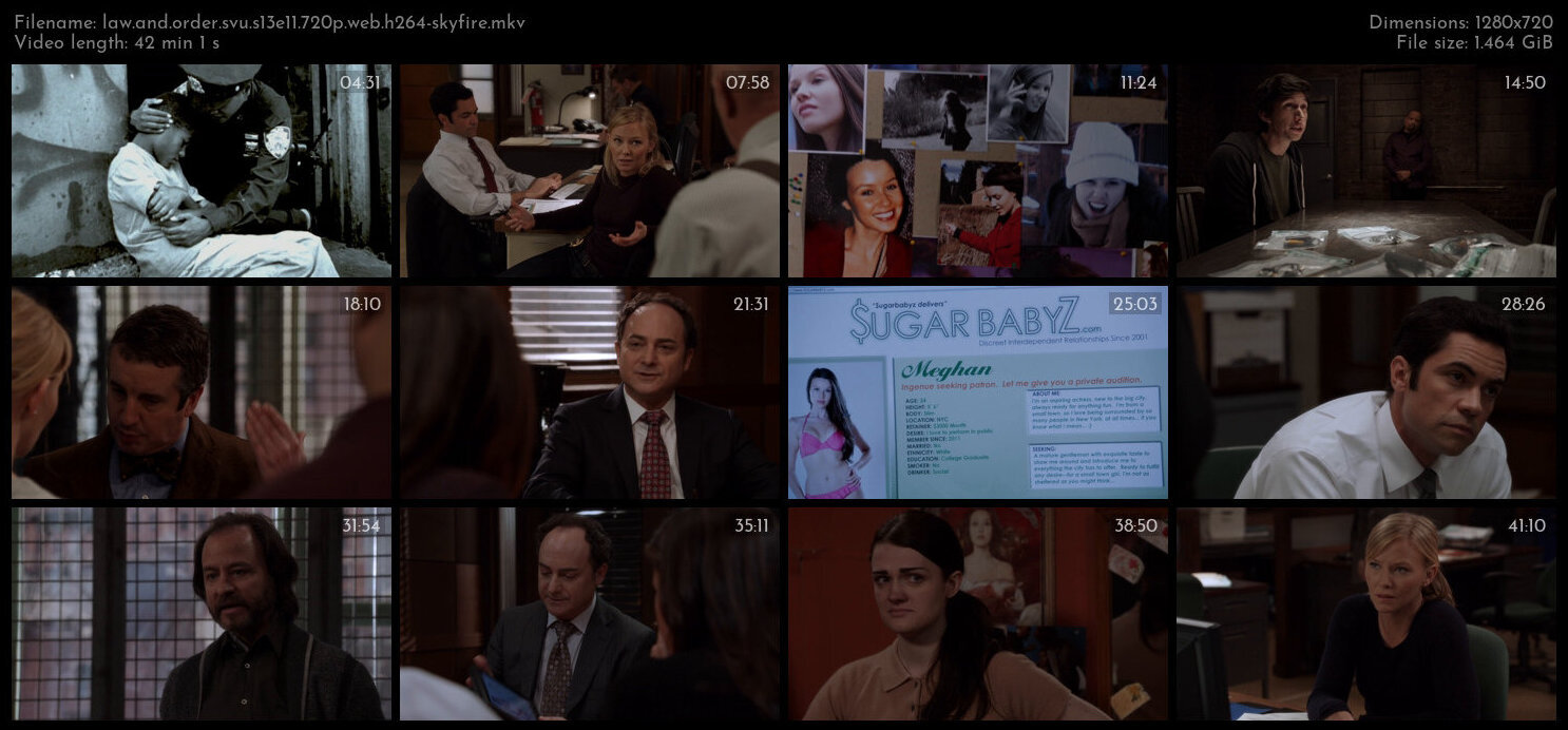 Law And Order SVU S13E11 720p WEB H264 SKYFiRE TGx