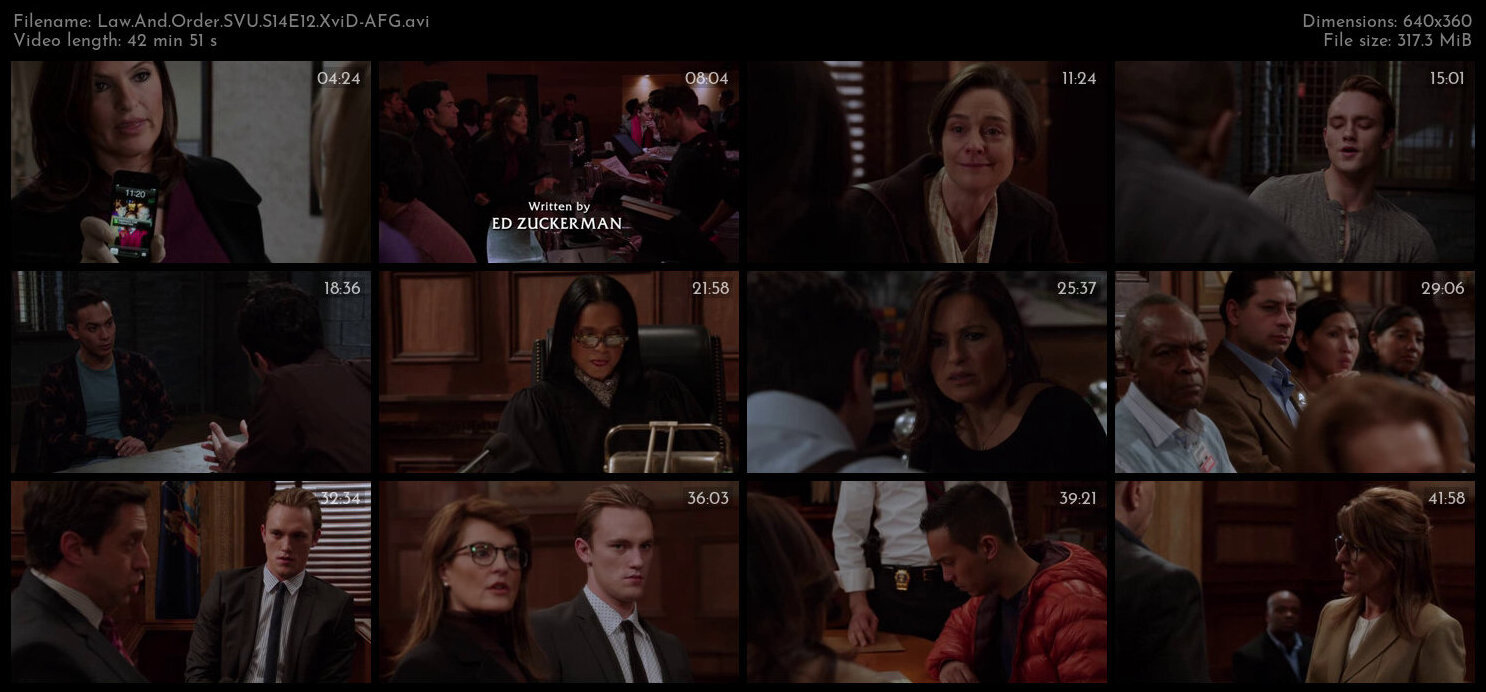 Law And Order SVU S14E12 XviD AFG TGx