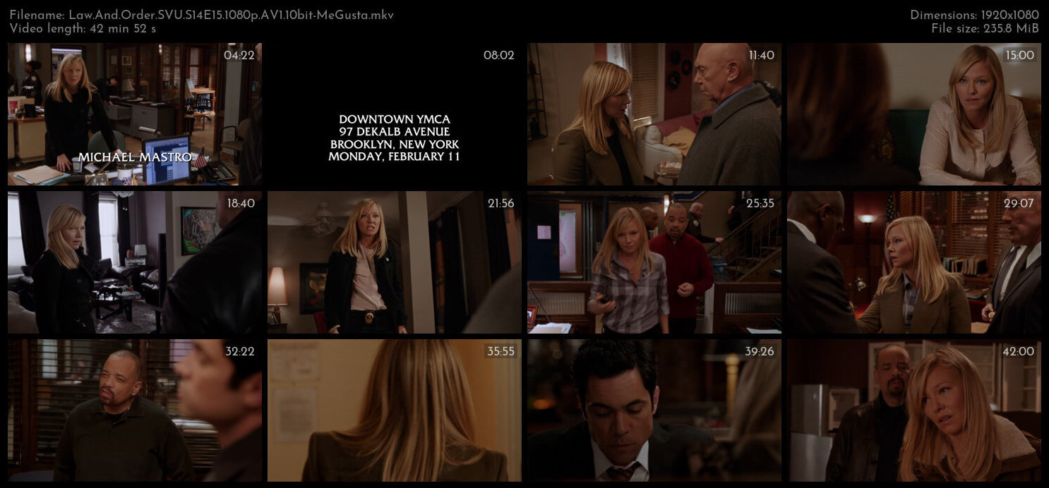 Law And Order SVU S14E15 1080p AV1 10bit MeGusta TGx