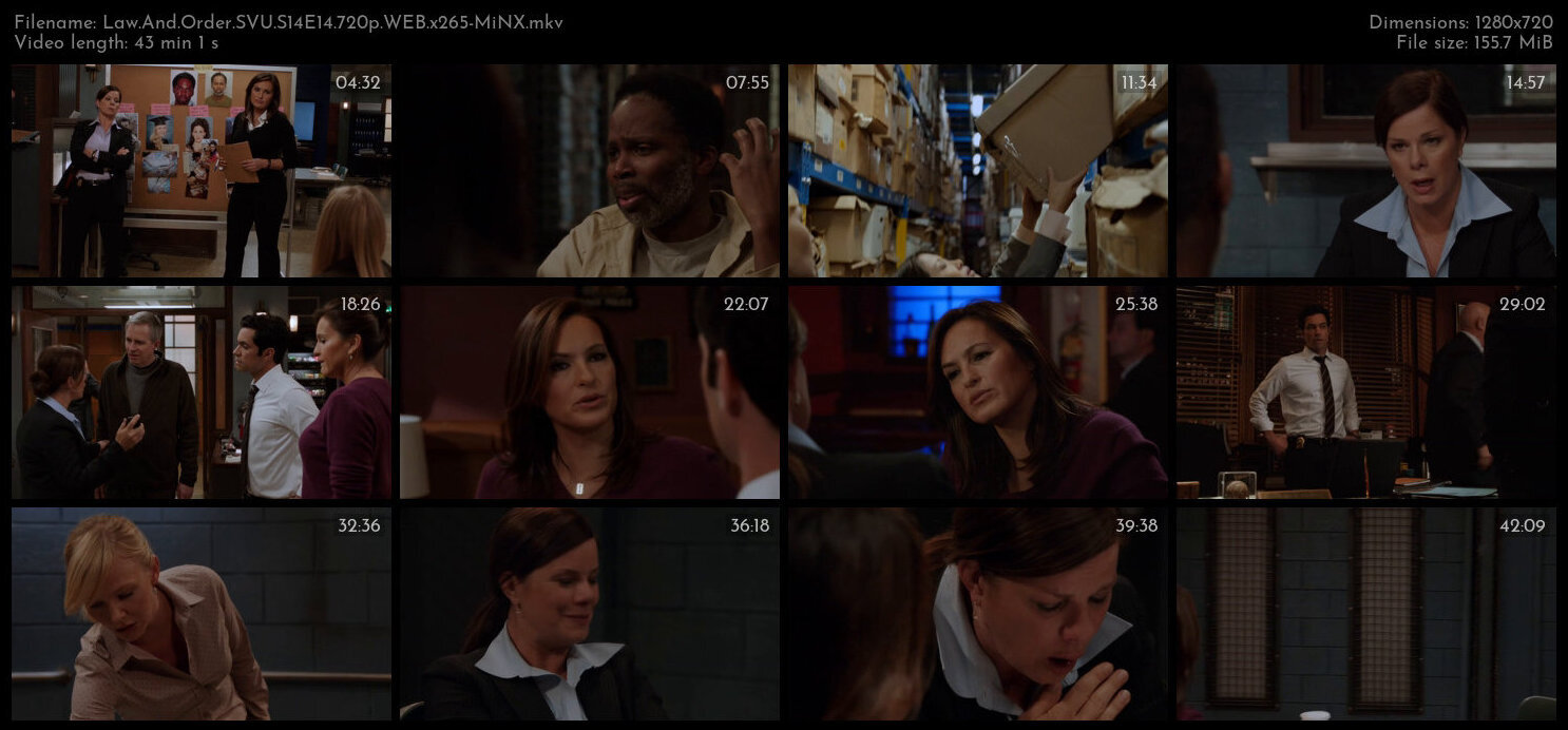 Law And Order SVU S14E14 720p WEB x265 MiNX TGx