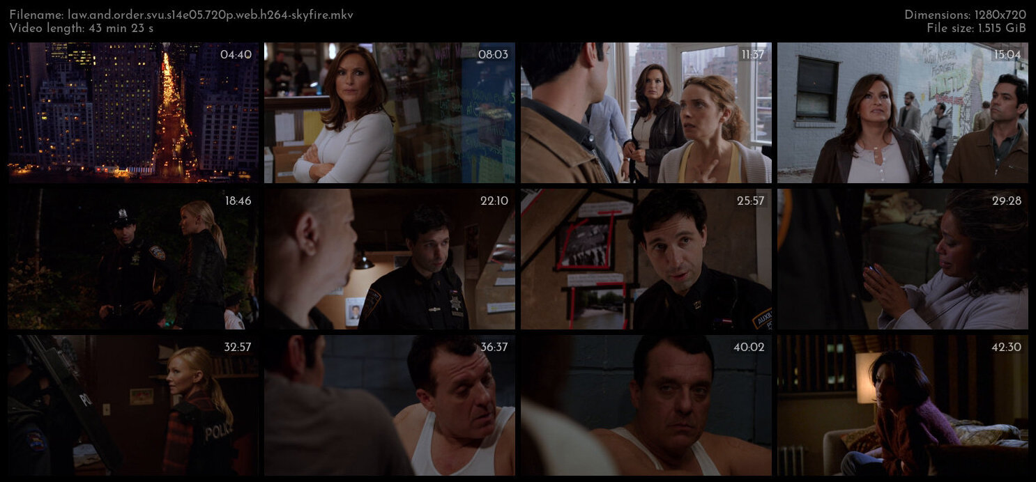 Law And Order SVU S14E05 720p WEB H264 SKYFiRE TGx