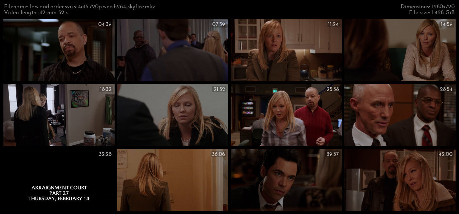 Law And Order SVU S14E15 720p WEB H264 SKYFiRE TGx