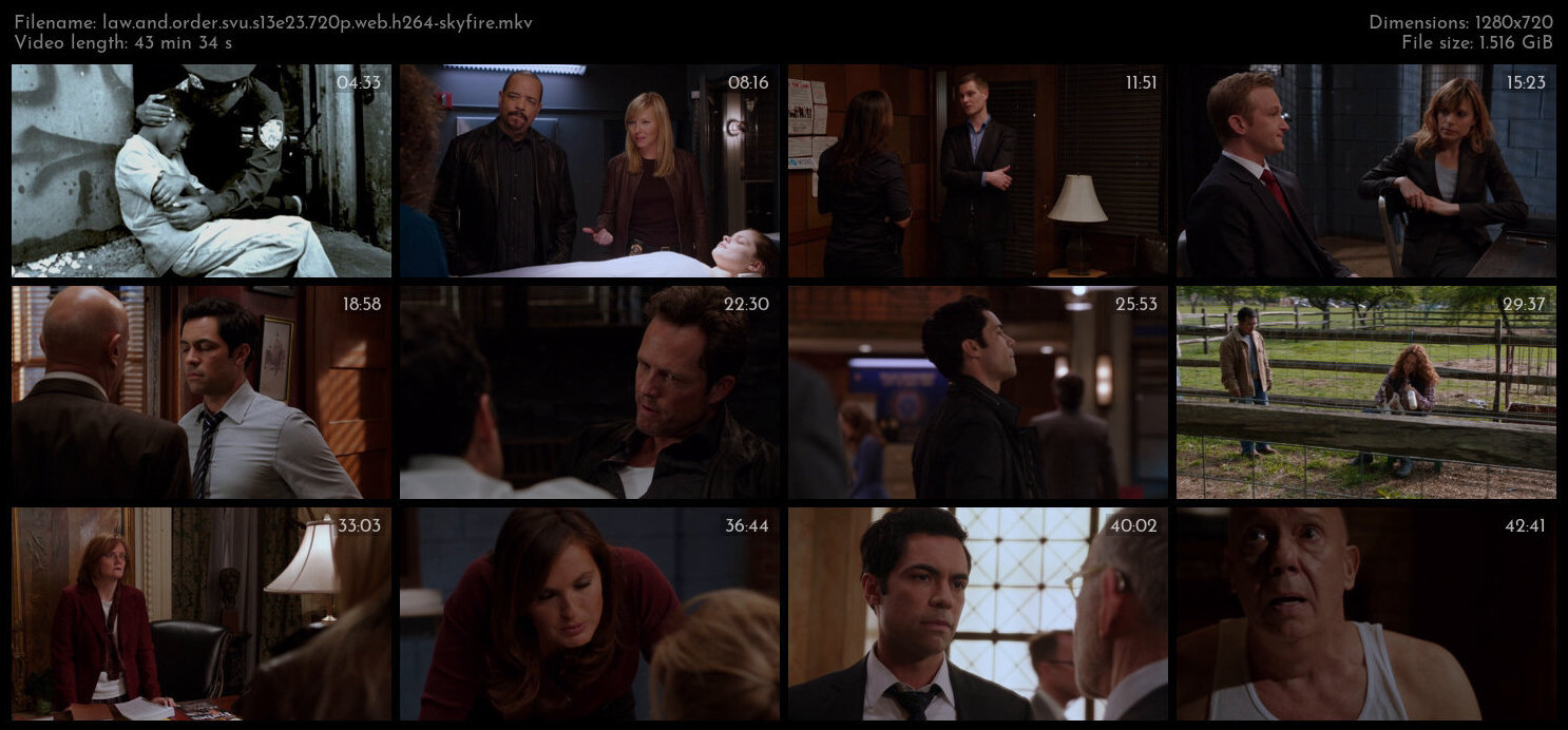 Law And Order SVU S13E23 720p WEB H264 SKYFiRE TGx