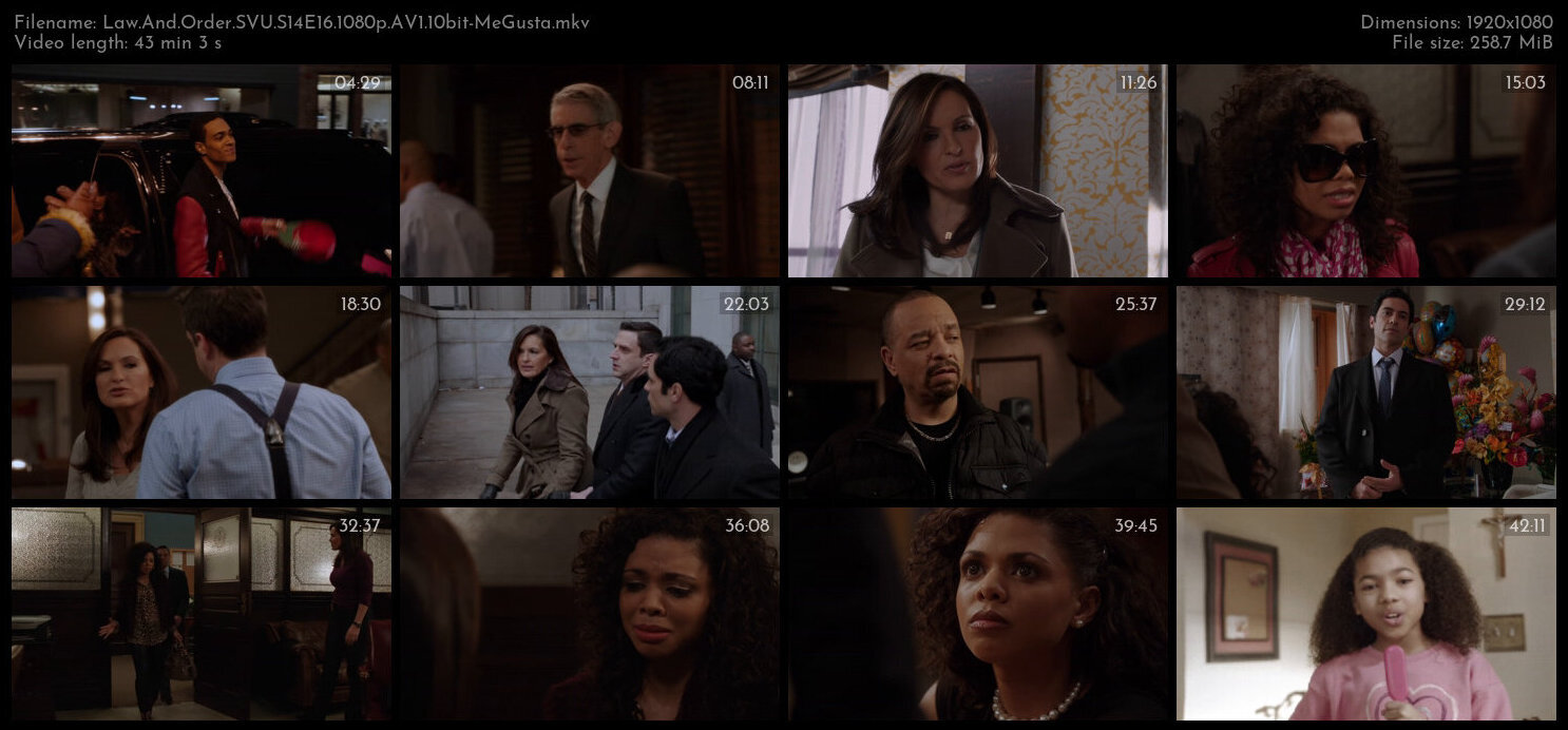 Law And Order SVU S14E16 1080p AV1 10bit MeGusta TGx