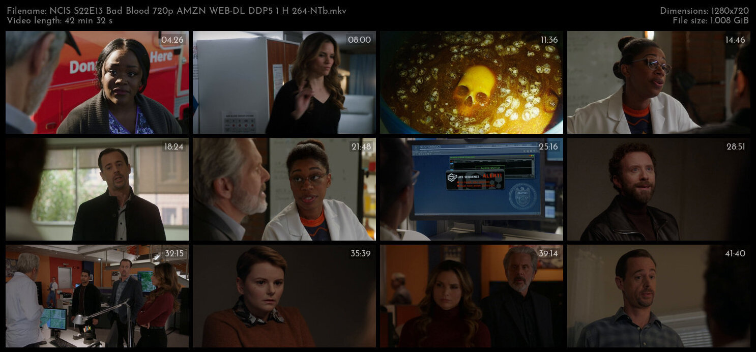 NCIS S22E13 Bad Blood 720p AMZN WEB DL DDP5 1 H 264 NTb TGx