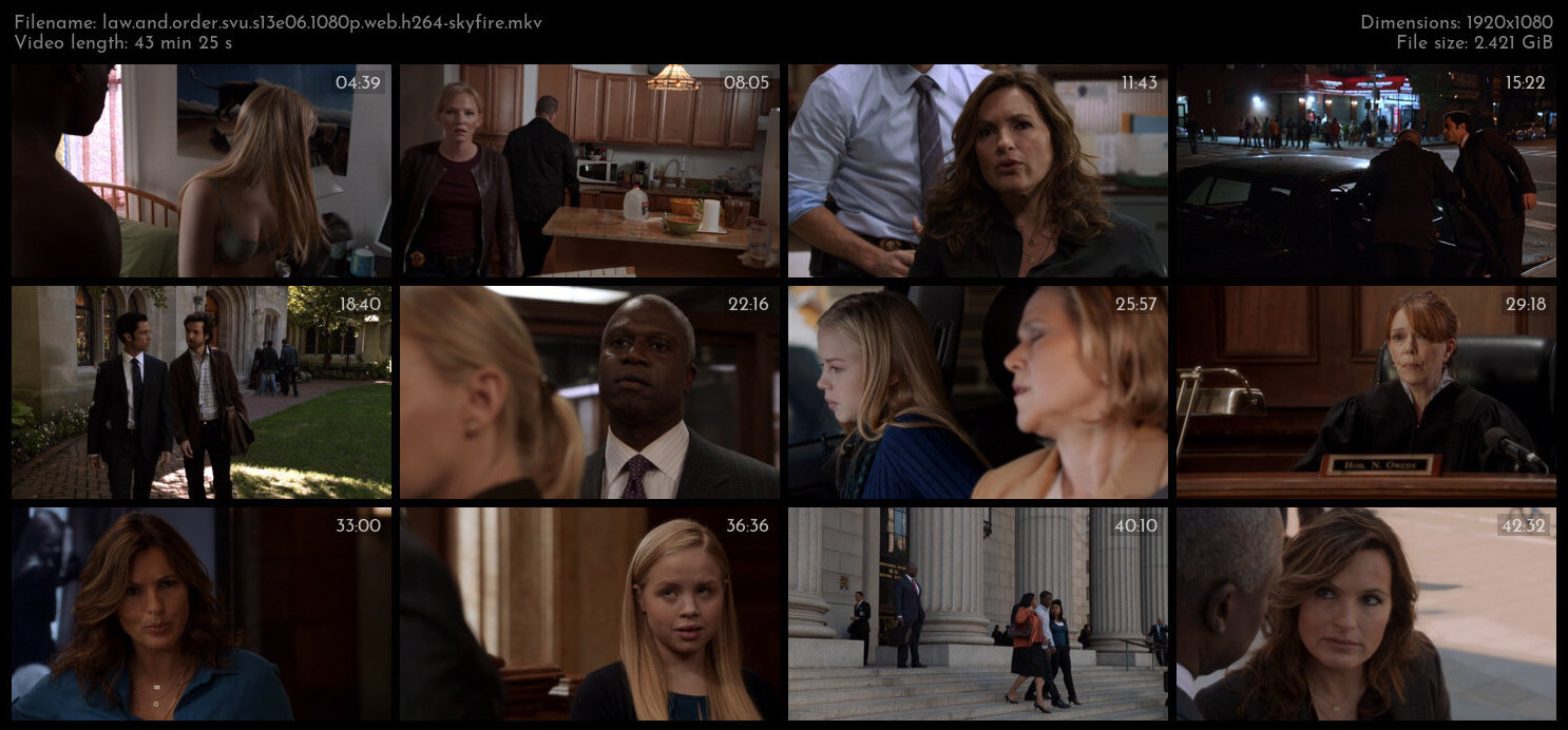 Law And Order SVU S13E06 1080p WEB H264 SKYFiRE TGx