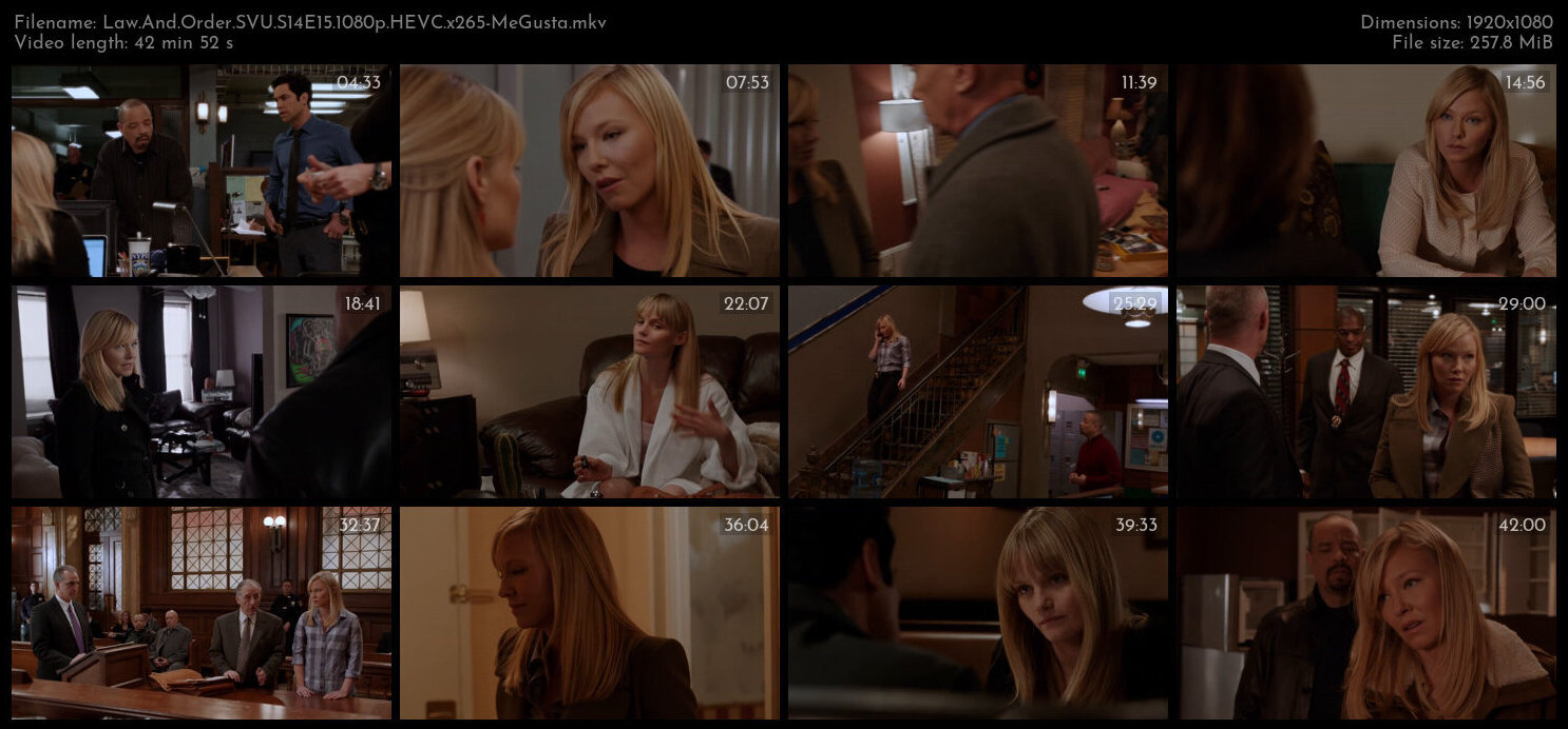 Law And Order SVU S14E15 1080p HEVC x265 MeGusta TGx