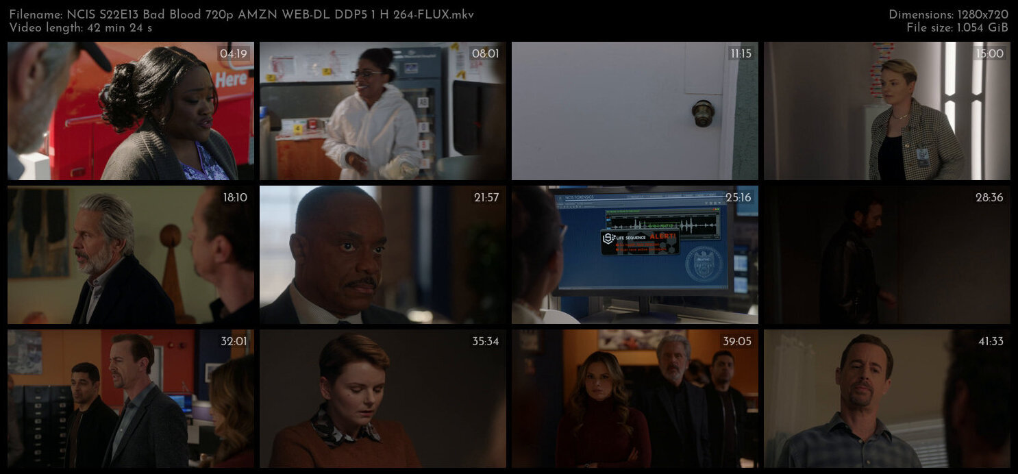 NCIS S22E13 Bad Blood 720p AMZN WEB DL DDP5 1 H 264 FLUX TGx