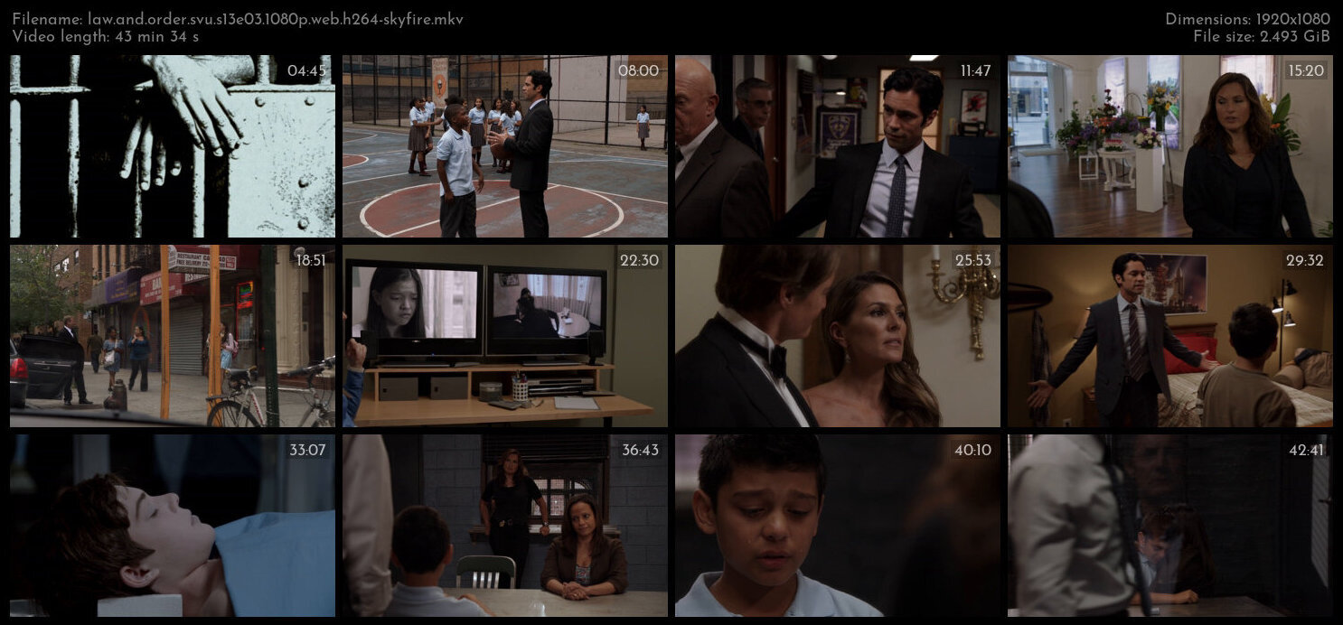 Law And Order SVU S13E03 1080p WEB H264 SKYFiRE TGx