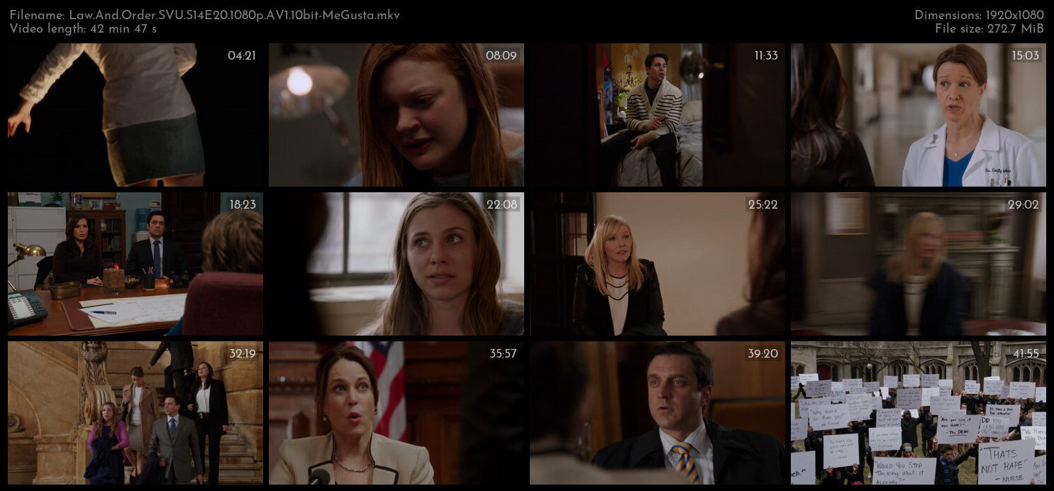 Law And Order SVU S14E20 1080p AV1 10bit MeGusta TGx