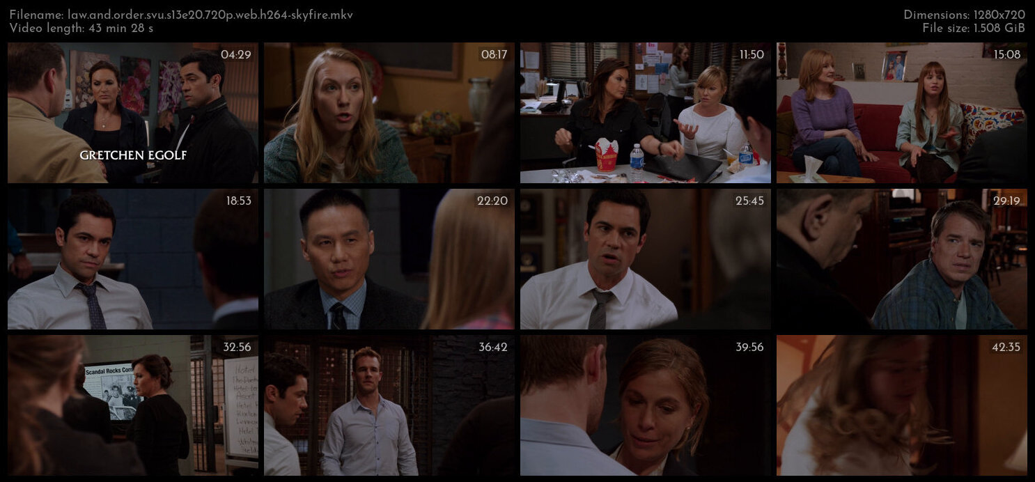 Law And Order SVU S13E20 720p WEB H264 SKYFiRE TGx