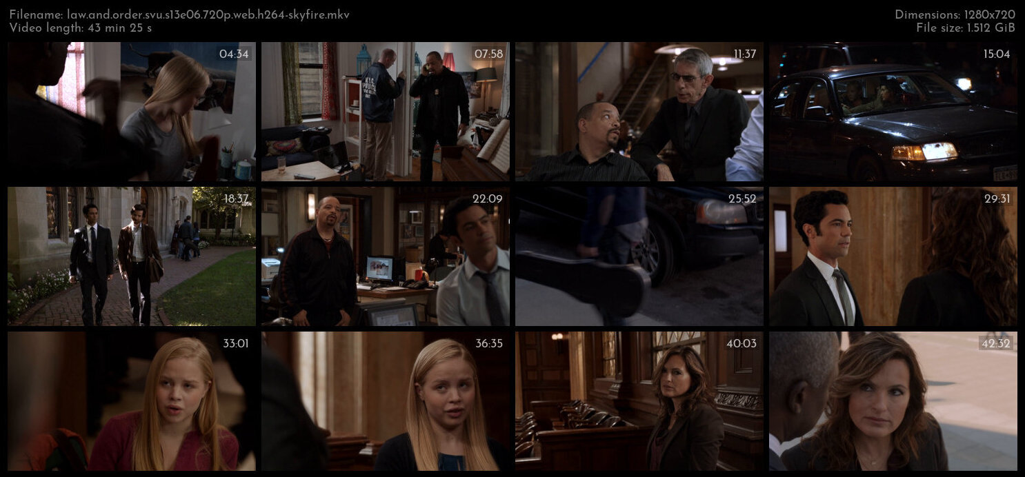 Law And Order SVU S13E06 720p WEB H264 SKYFiRE TGx