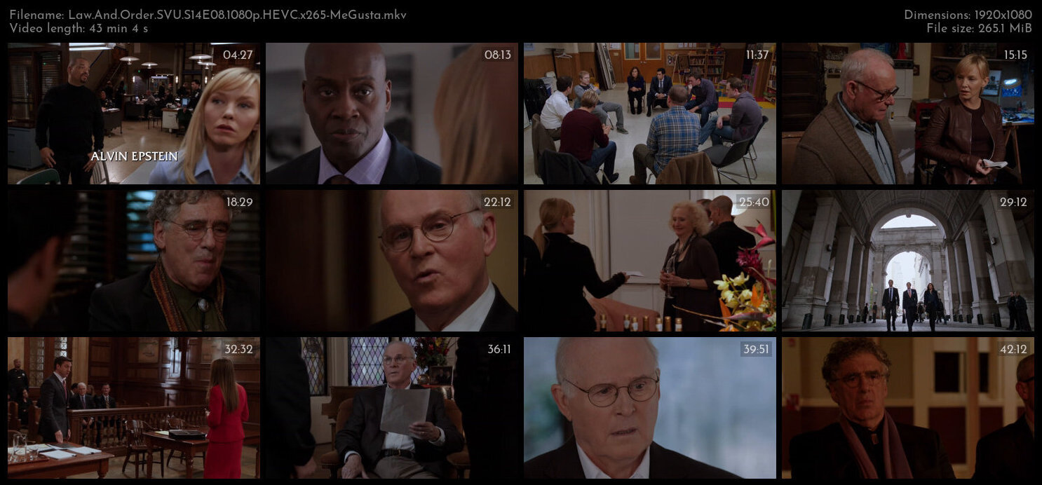 Law And Order SVU S14E08 1080p HEVC x265 MeGusta TGx