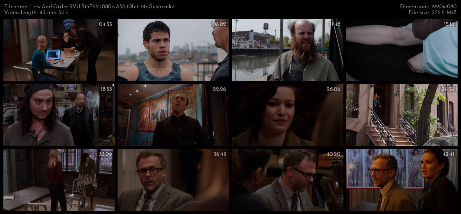 Law And Order SVU S13E22 1080p AV1 10bit MeGusta TGx