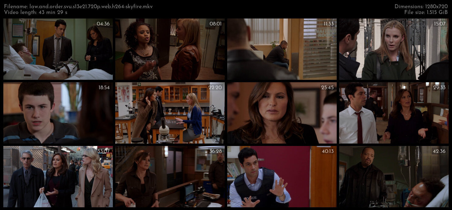 Law And Order SVU S13E21 720p WEB H264 SKYFiRE TGx