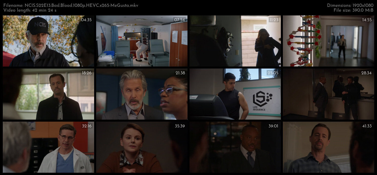 NCIS S22E13 Bad Blood 1080p HEVC x265 MeGusta TGx