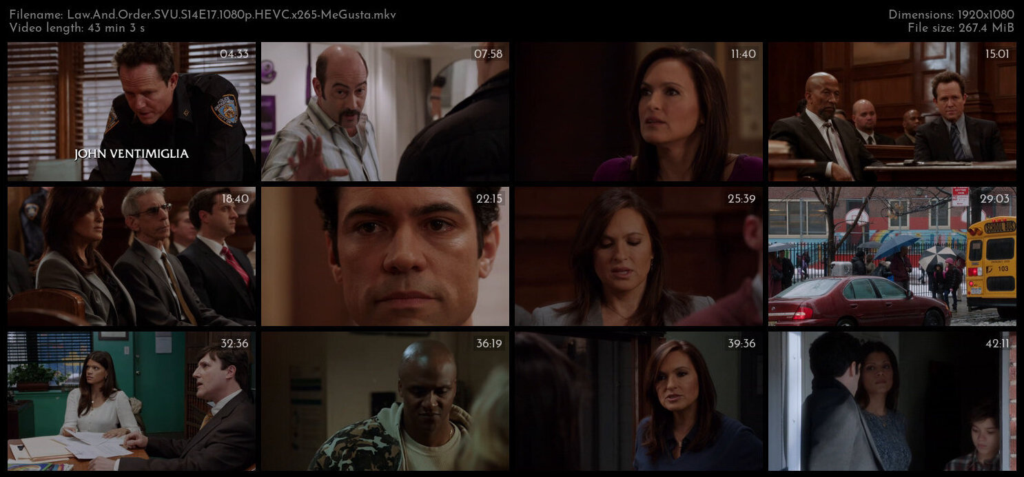 Law And Order SVU S14E17 1080p HEVC x265 MeGusta TGx