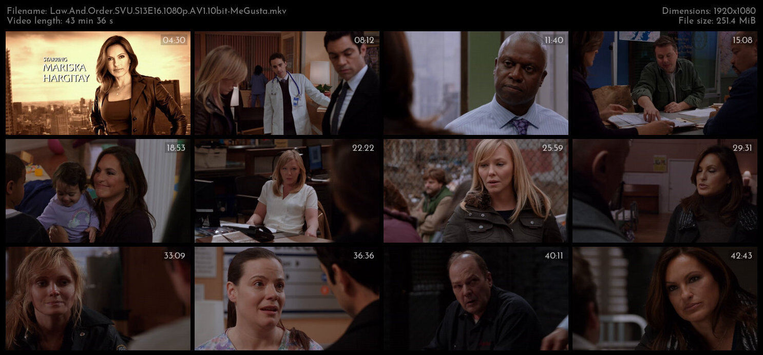 Law And Order SVU S13E16 1080p AV1 10bit MeGusta TGx