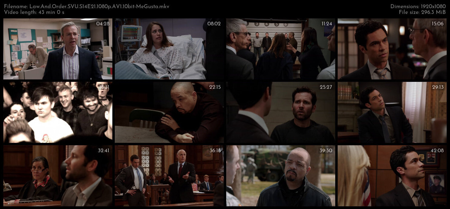 Law And Order SVU S14E21 1080p AV1 10bit MeGusta TGx