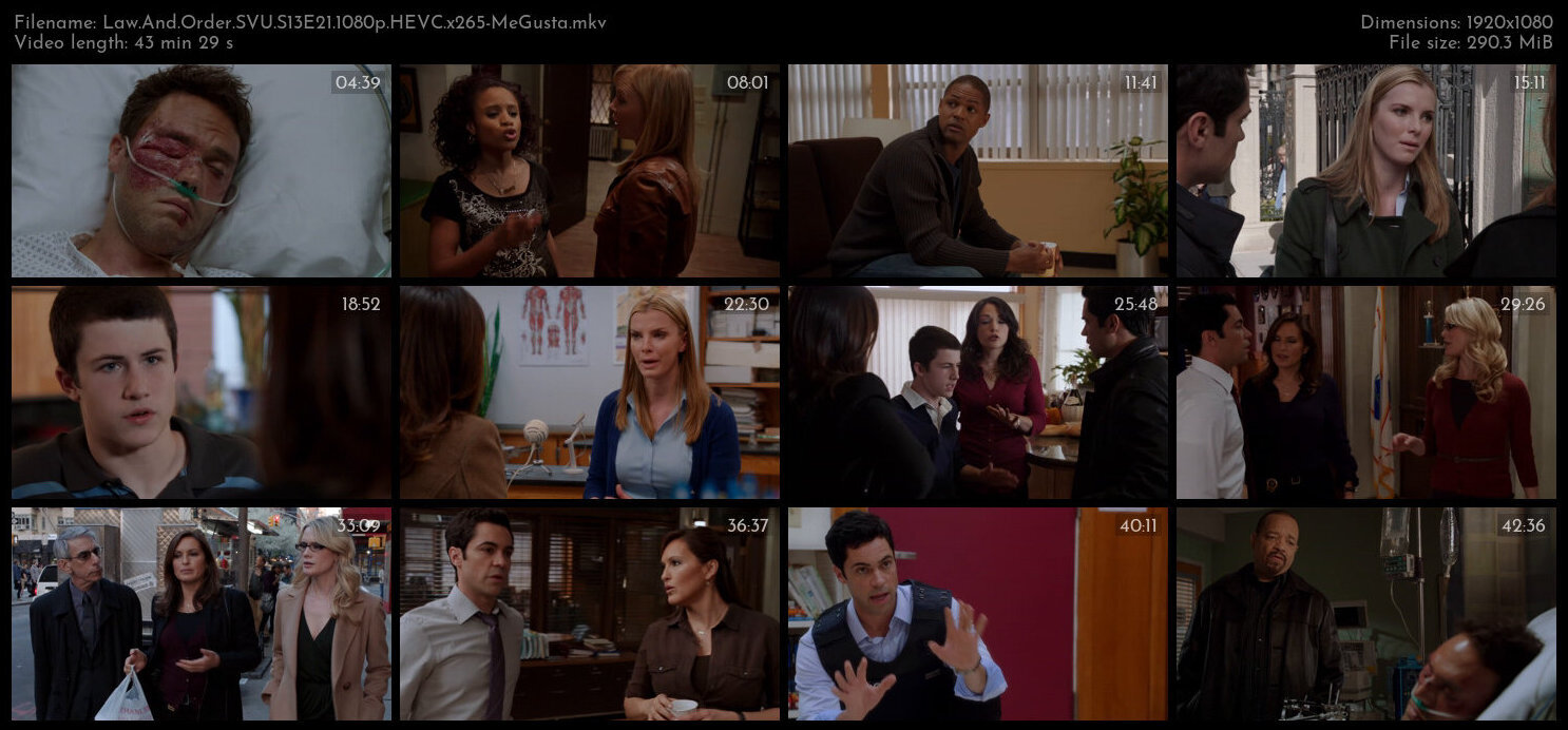 Law And Order SVU S13E21 1080p HEVC x265 MeGusta TGx