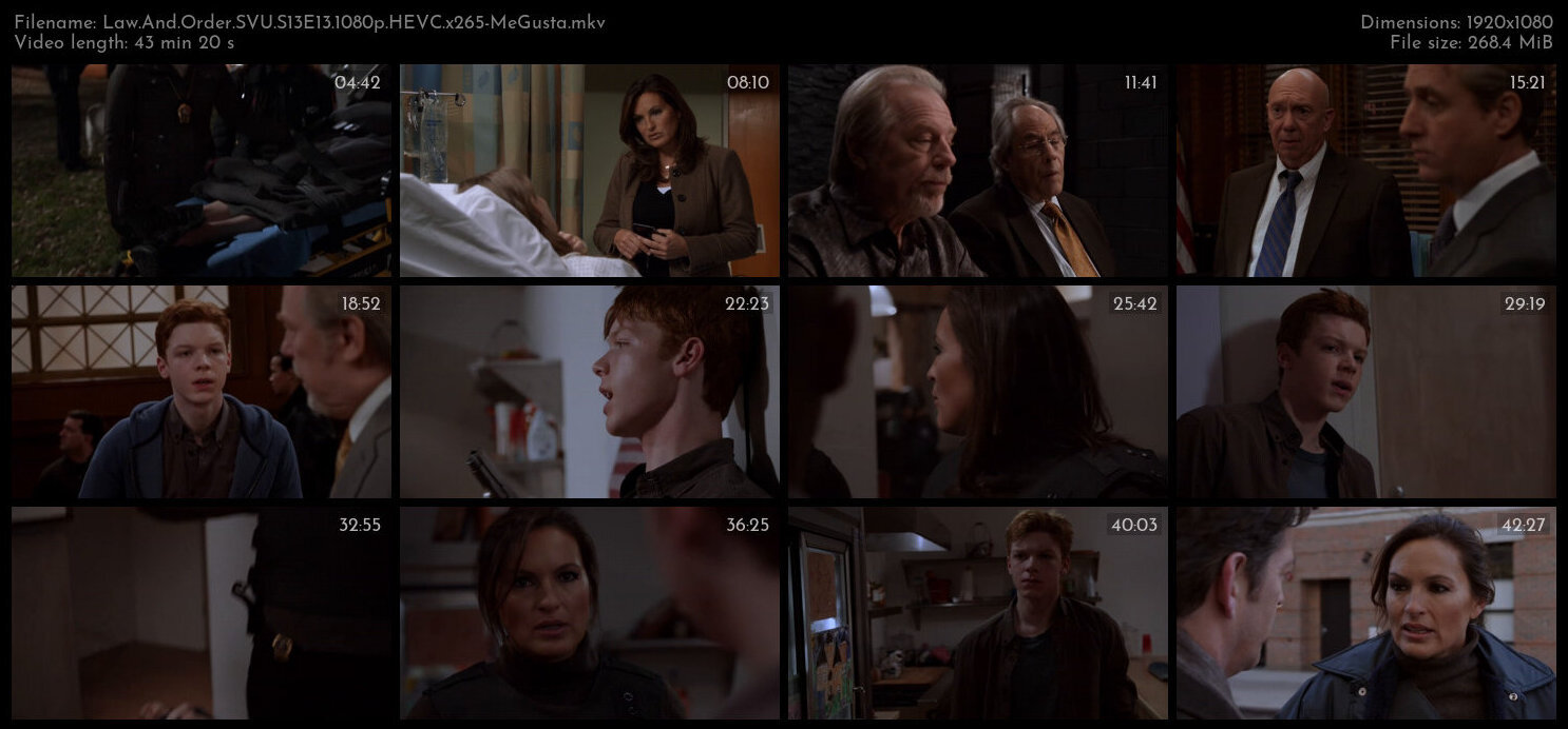 Law And Order SVU S13E13 1080p HEVC x265 MeGusta TGx