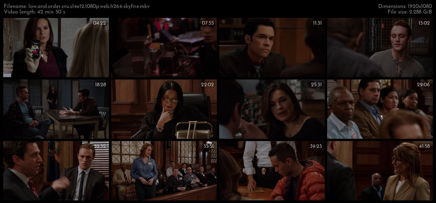 Law And Order SVU S14E12 1080p WEB H264 SKYFiRE TGx