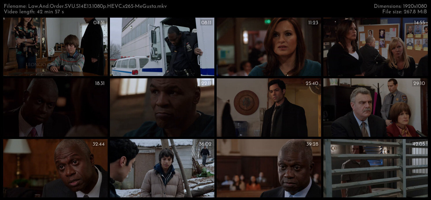 Law And Order SVU S14E13 1080p HEVC x265 MeGusta TGx