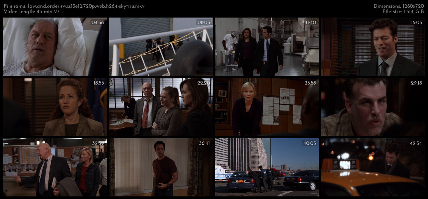 Law And Order SVU S13E12 720p WEB H264 SKYFiRE TGx