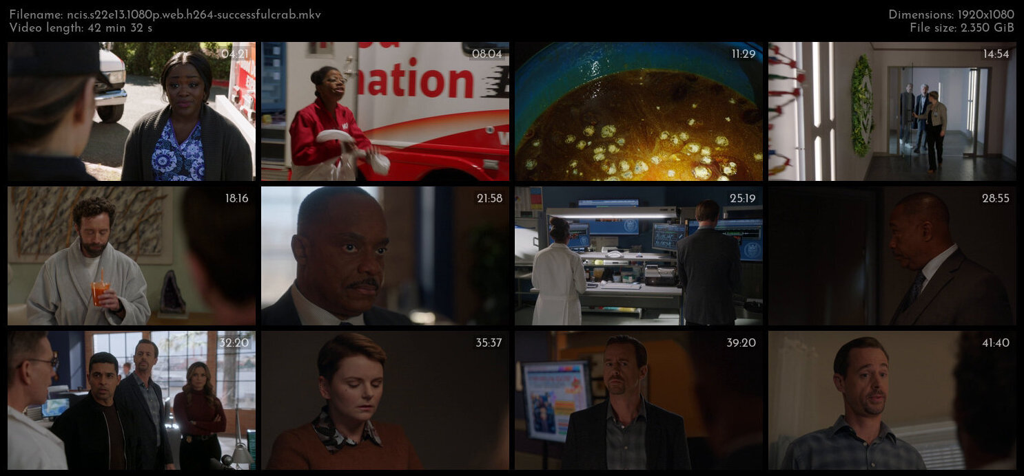 NCIS S22E13 1080p WEB H264 SuccessfulCrab TGx