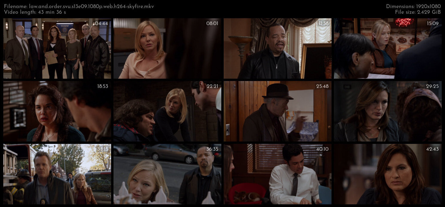 Law And Order SVU S13E09 1080p WEB H264 SKYFiRE TGx