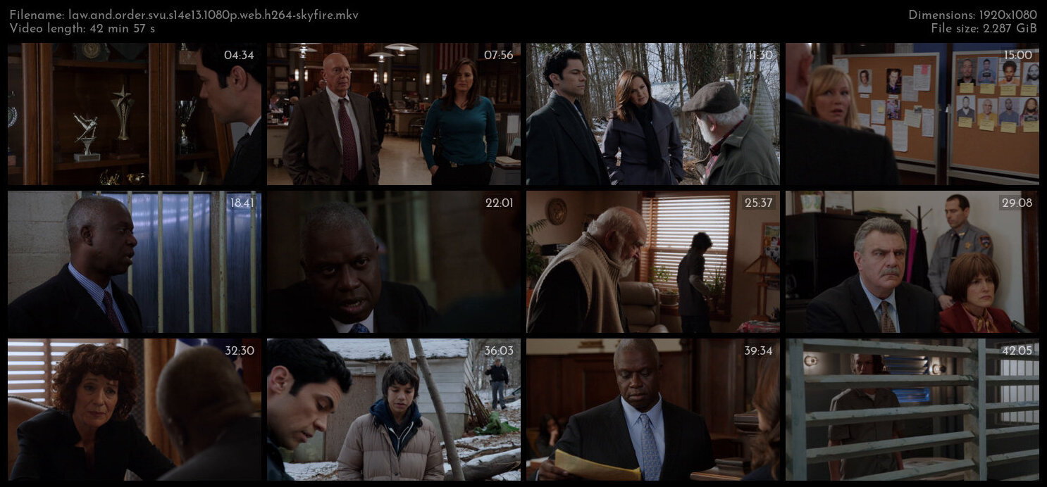 Law And Order SVU S14E13 1080p WEB H264 SKYFiRE TGx