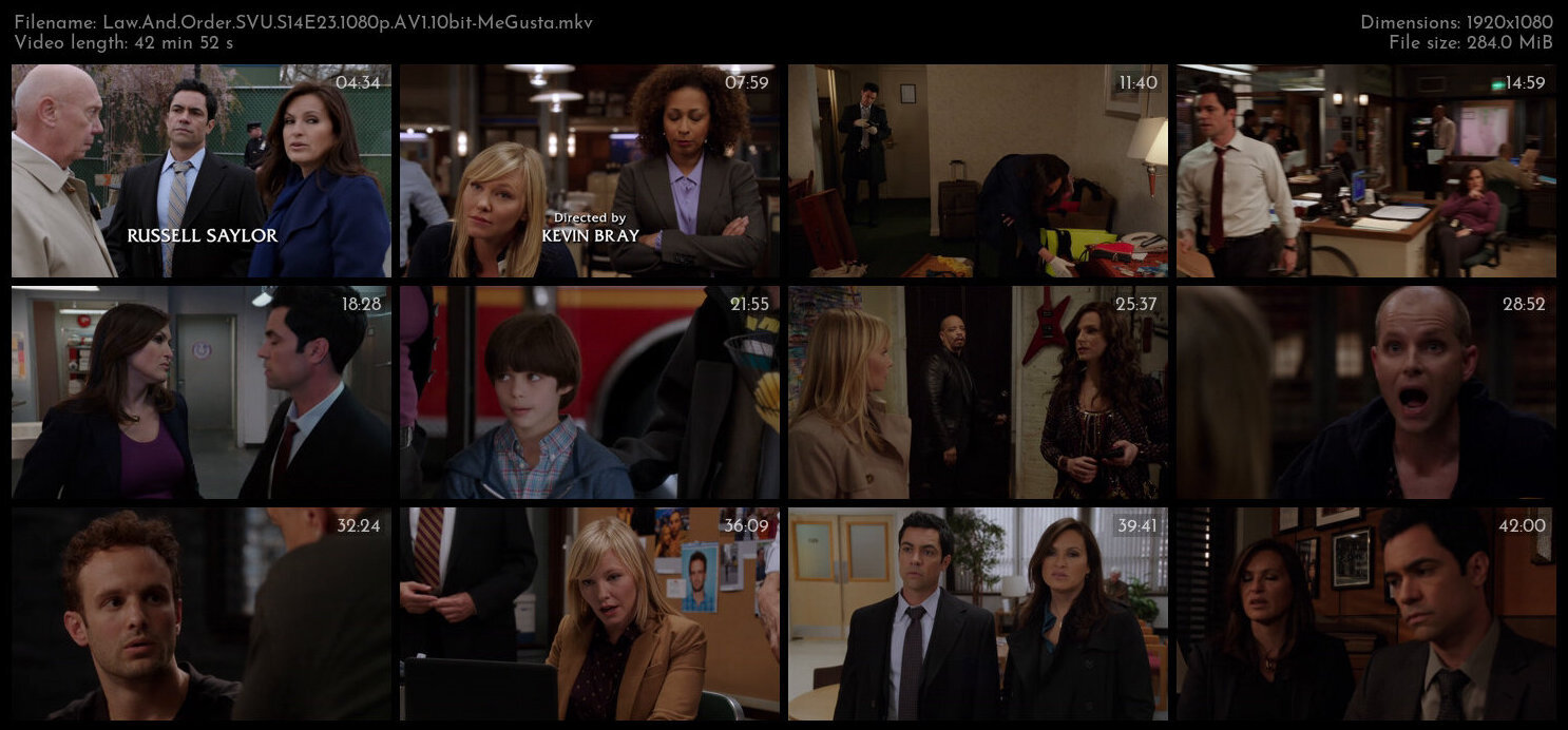 Law And Order SVU S14E23 1080p AV1 10bit MeGusta TGx