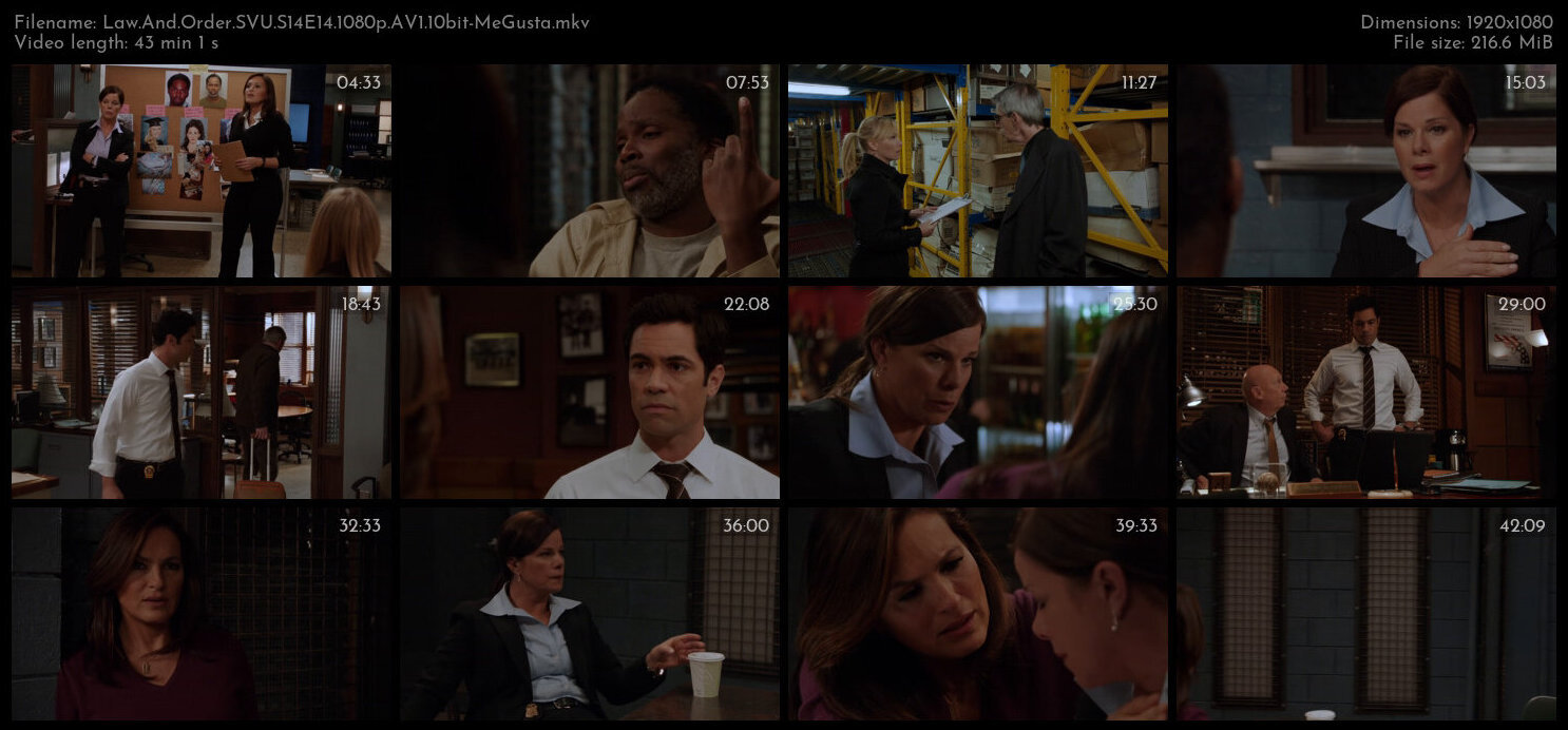 Law And Order SVU S14E14 1080p AV1 10bit MeGusta TGx