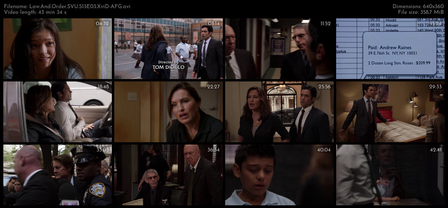 Law And Order SVU S13E03 XviD AFG TGx