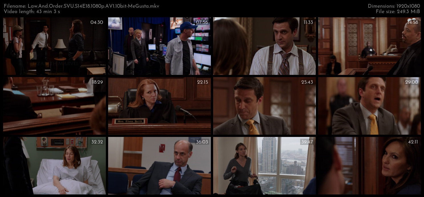 Law And Order SVU S14E18 1080p AV1 10bit MeGusta TGx