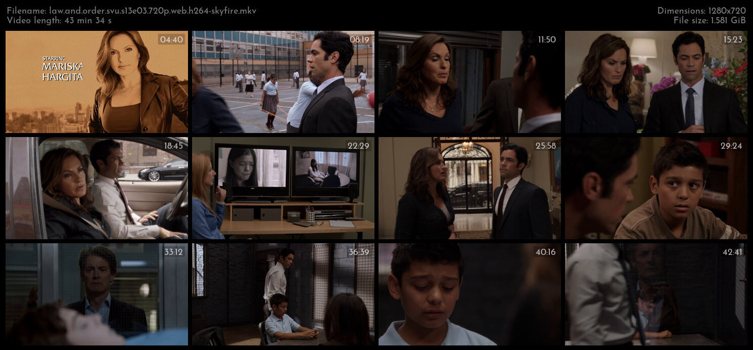 Law And Order SVU S13E03 720p WEB H264 SKYFiRE TGx