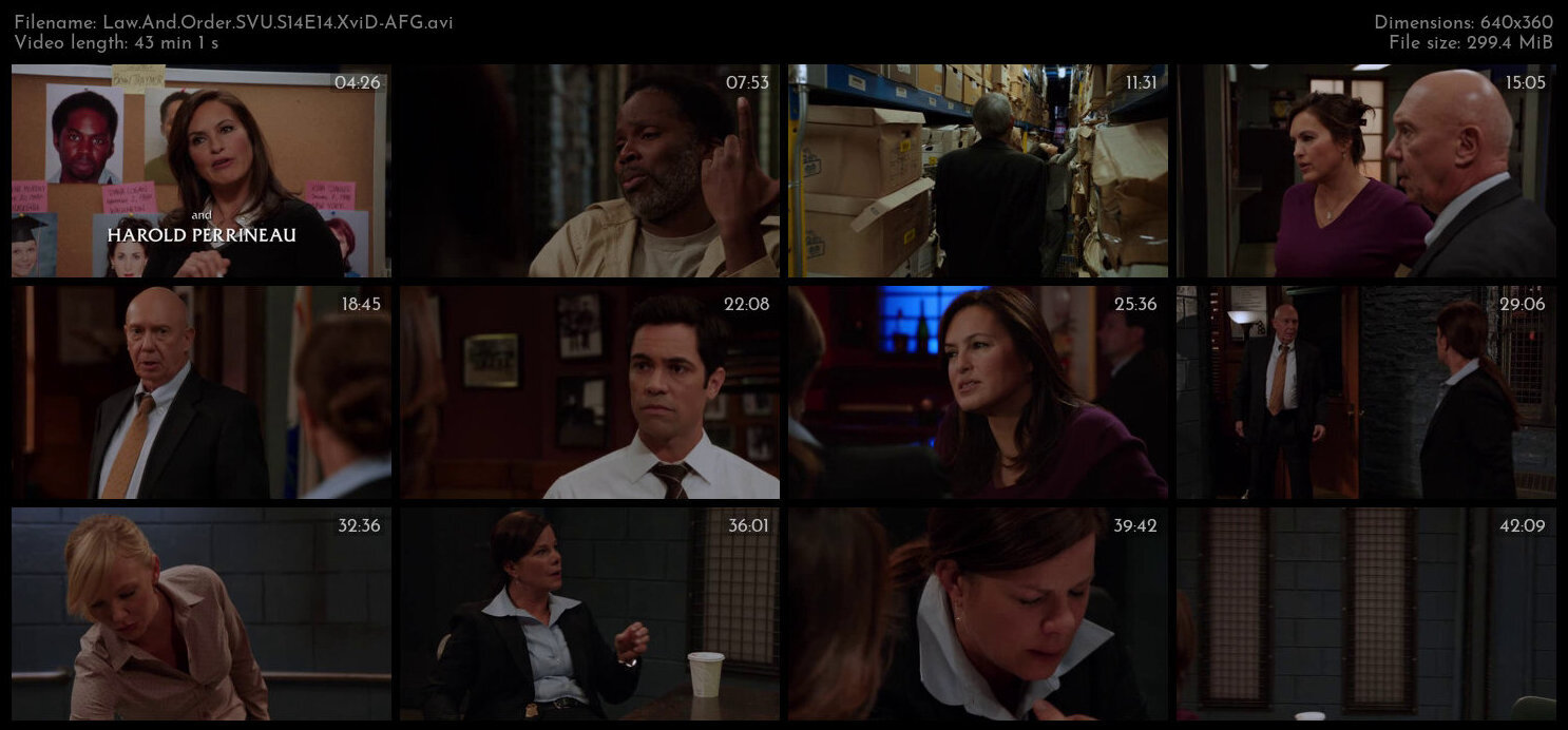 Law And Order SVU S14E14 XviD AFG TGx