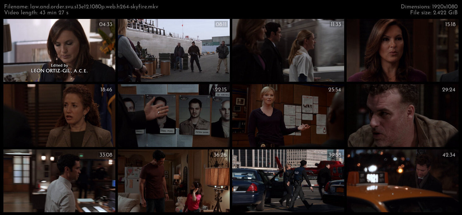 Law And Order SVU S13E12 1080p WEB H264 SKYFiRE TGx