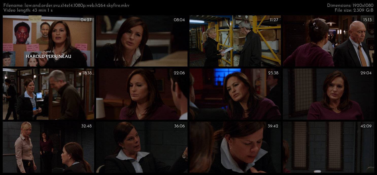 Law And Order SVU S14E14 1080p WEB H264 SKYFiRE TGx