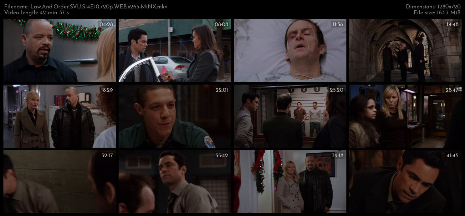 Law And Order SVU S14E10 720p WEB x265 MiNX TGx