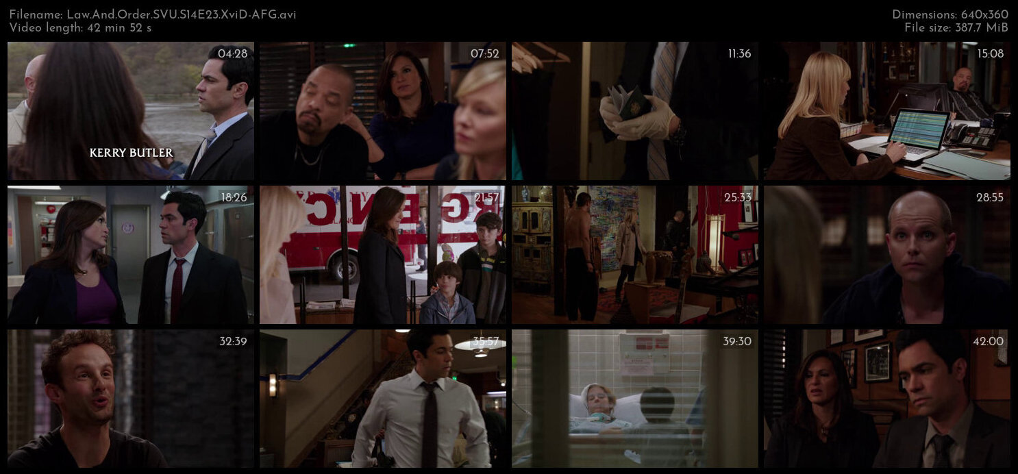 Law And Order SVU S14E23 XviD AFG TGx