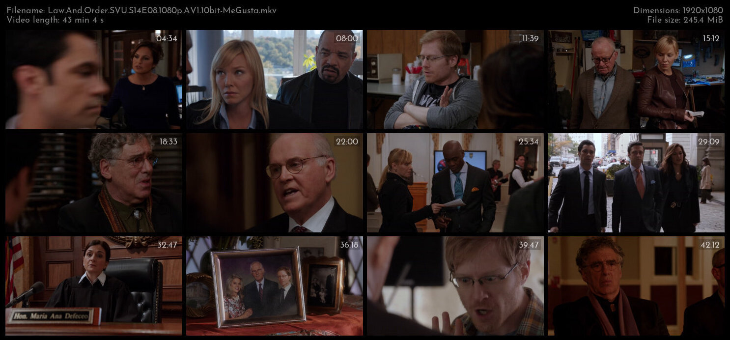 Law And Order SVU S14E08 1080p AV1 10bit MeGusta TGx