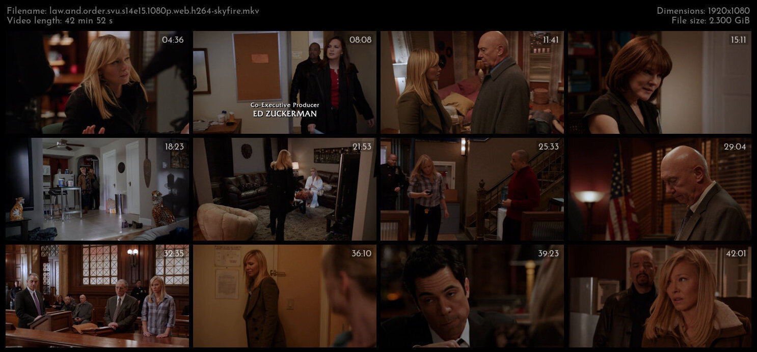 Law And Order SVU S14E15 1080p WEB H264 SKYFiRE TGx