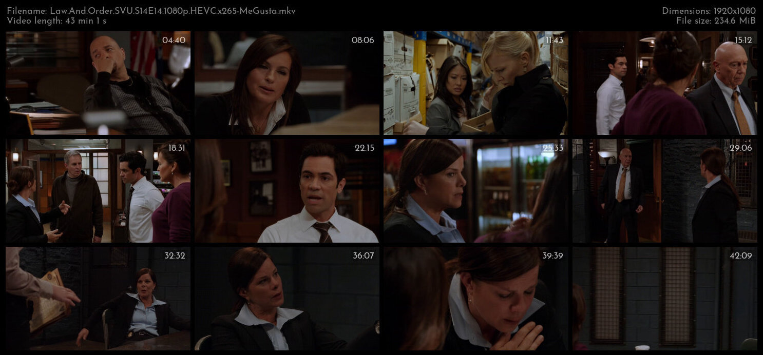 Law And Order SVU S14E14 1080p HEVC x265 MeGusta TGx