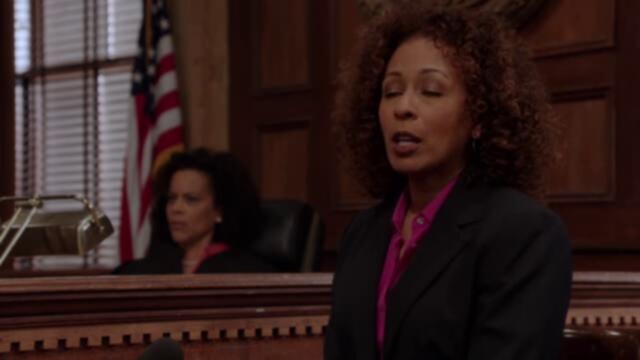 Law And Order SVU S14E24 XviD AFG TGx