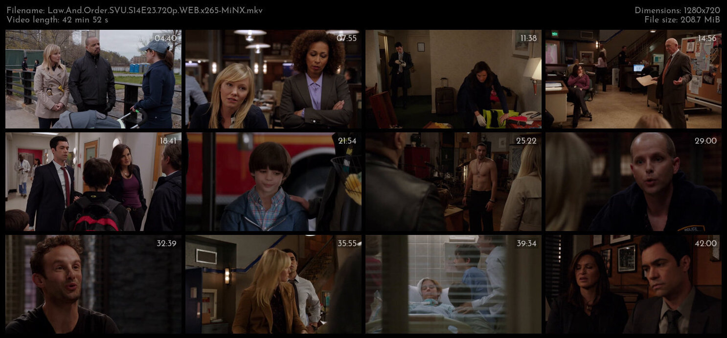 Law And Order SVU S14E23 720p WEB x265 MiNX TGx