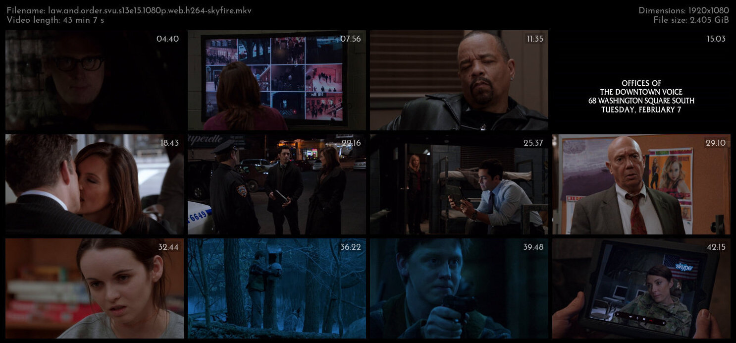 Law And Order SVU S13E15 1080p WEB H264 SKYFiRE TGx