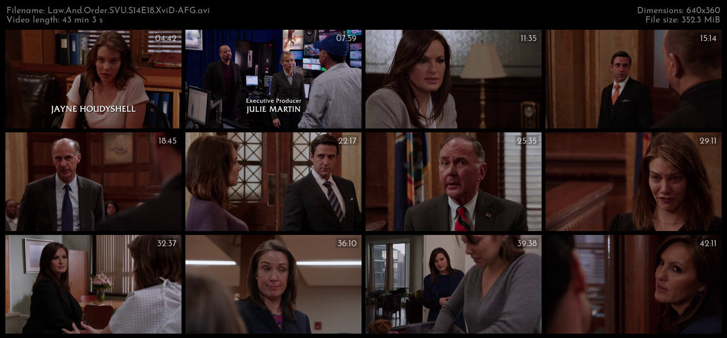 Law And Order SVU S14E18 XviD AFG TGx