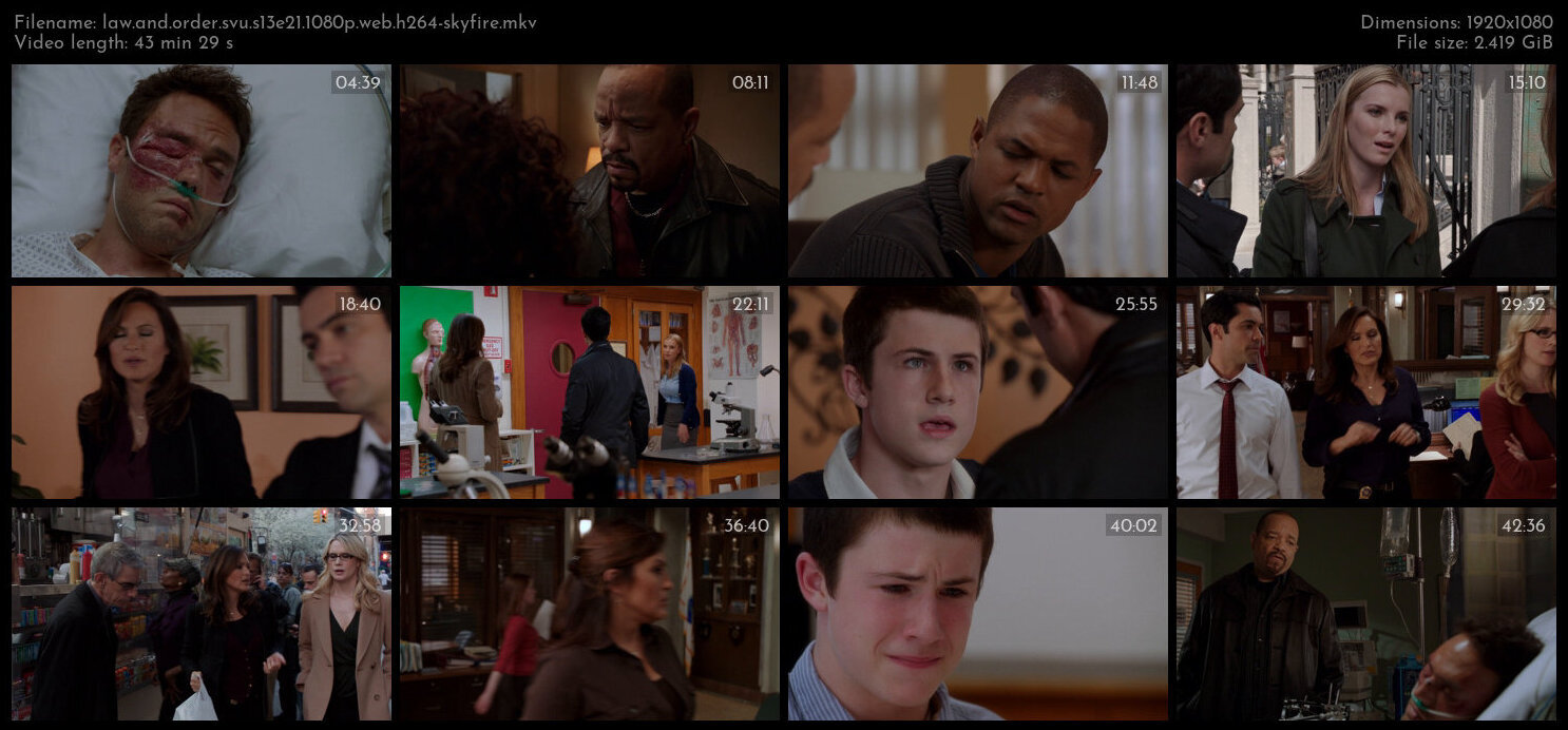 Law And Order SVU S13E21 1080p WEB H264 SKYFiRE TGx